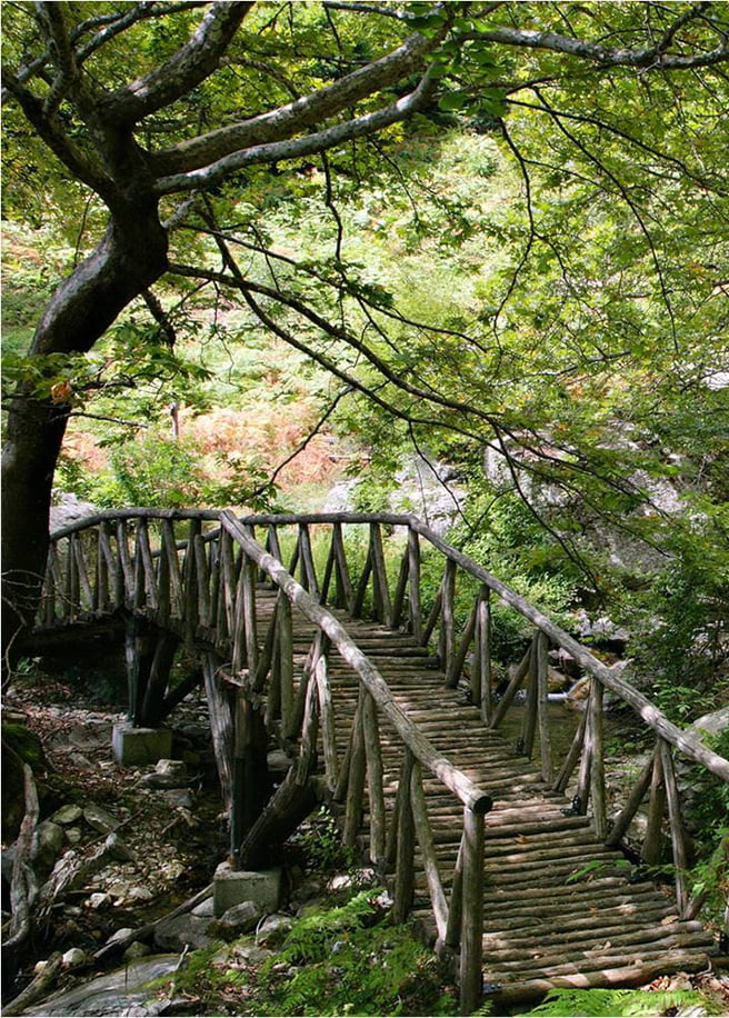 ΔΡΑΣΤΗΡΙΟΤΗΤΕΣ Παγγαίο Όρος